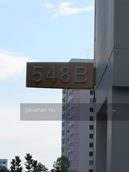 Blk 548B Segar Road (Bukit Panjang), HDB 3 Rooms #210977731